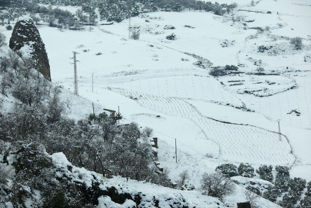 Imágenes de Ronda este jueves.