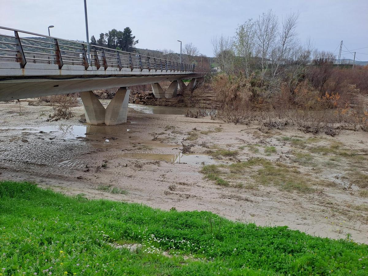 Sedimentos bajo el puente de acceso desde la N-432.