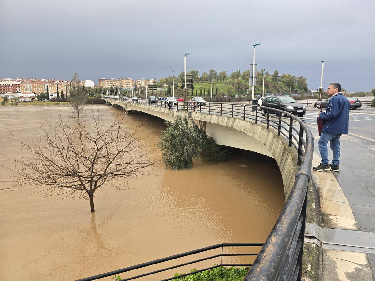 BADAJOZ. PUENTE DE LA AUTONOMIA Y CRECIDA DEL RIO GUADIANA,