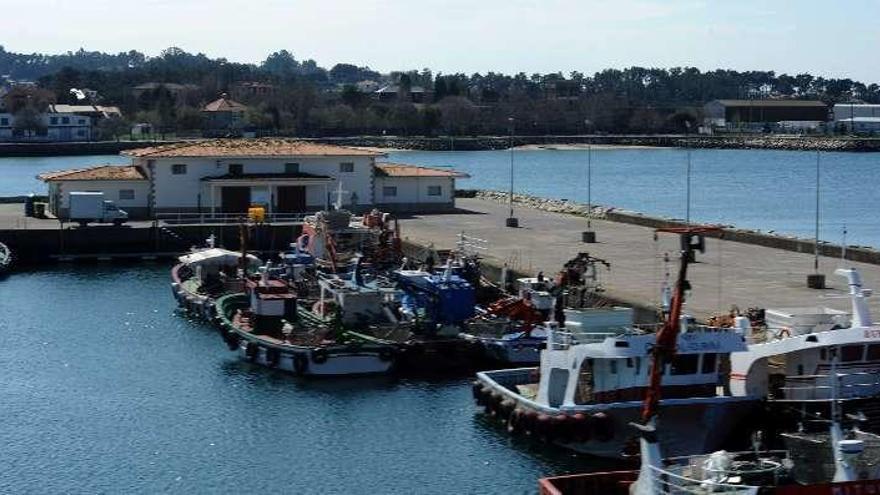 El catamarán saldrá del puerto de Vilaxoán. // Iñaki Abella