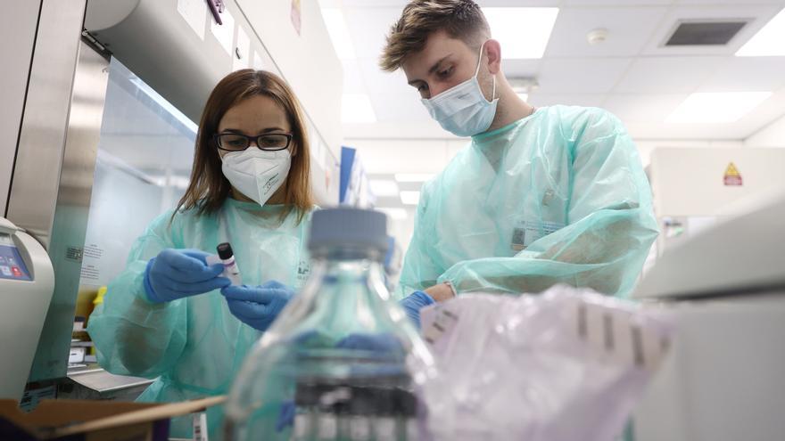 Técnicos de laboratorio trabajan con pruebas PCR en el Laboratorio de Microbiología del Gregorio Marañón.