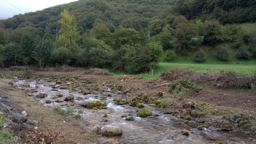 Felechosa prefiere un río sin árboles a correr el riesgo de inundaciones que pongan “vidas en peligro”