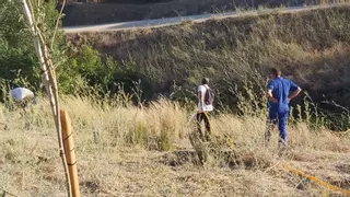 Ecologistas en Acción Montilla solicita ayuda para el riego de árboles