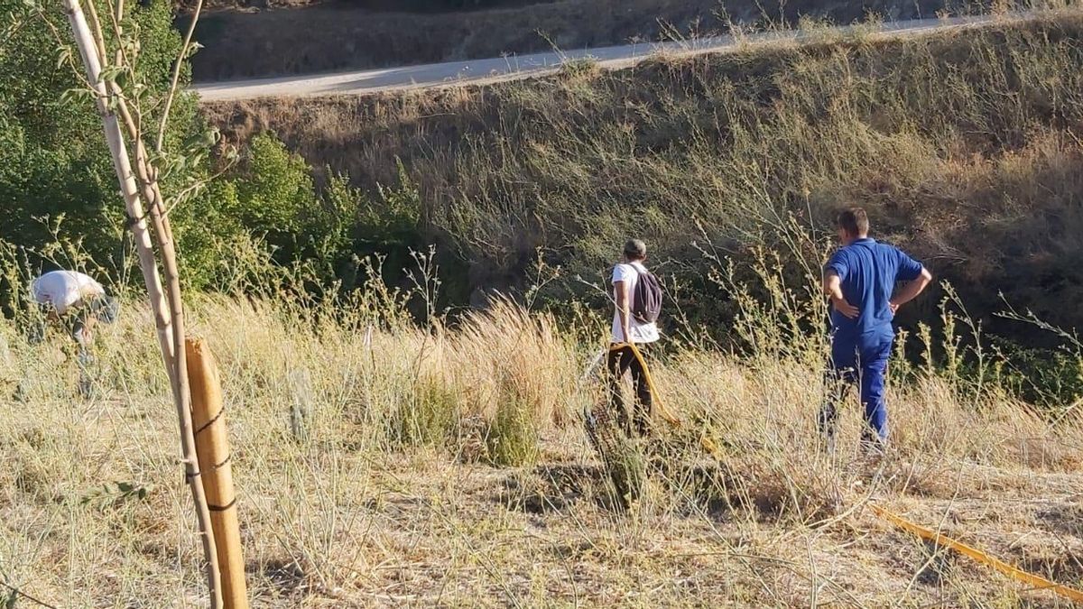 Dos voluntarios de Ecologistas en Acción riegan una de las zonas.