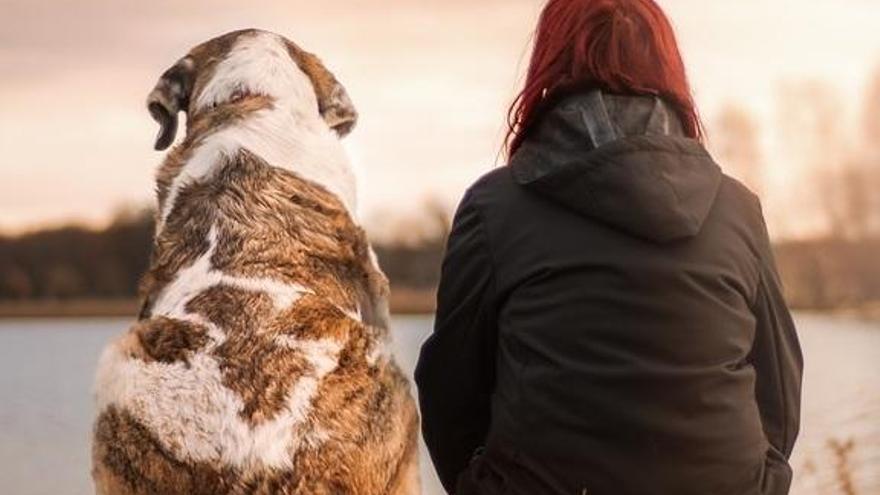 Los animales, el pegamento del corazón