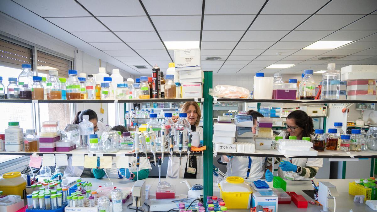 Varias investigadoras en un laboratorio del SCS