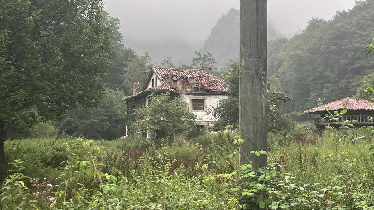 Un jabalí en la finca Les Llanes, en Covadonga, sumida en el más absoluto abandono.