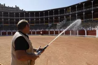 Los preparativos para la feria taurina de Gijón, en imágenes