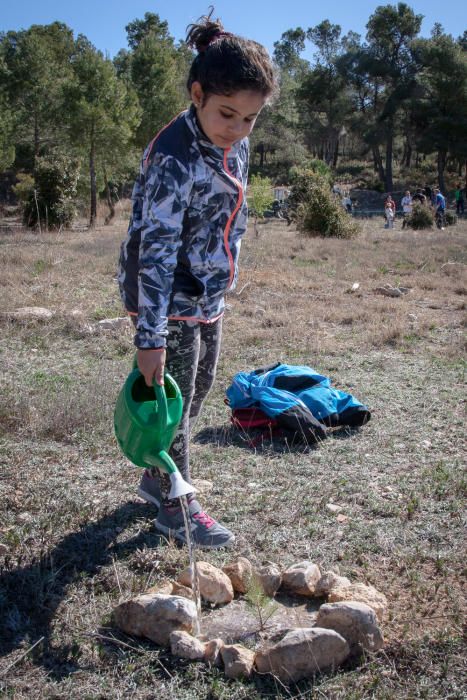 Ibi celebra su tradicional Día del Árbol