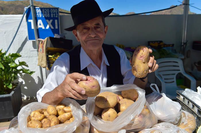 Feria de la papa en Tejeda