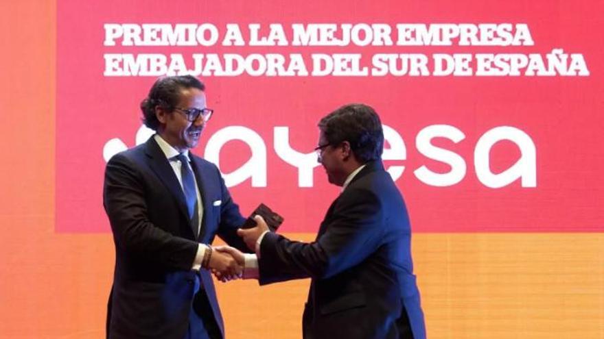 La tormenta de Ayesa: La familia Manzanares aún debe explicar qué va a quedar de la multinacional en Sevilla