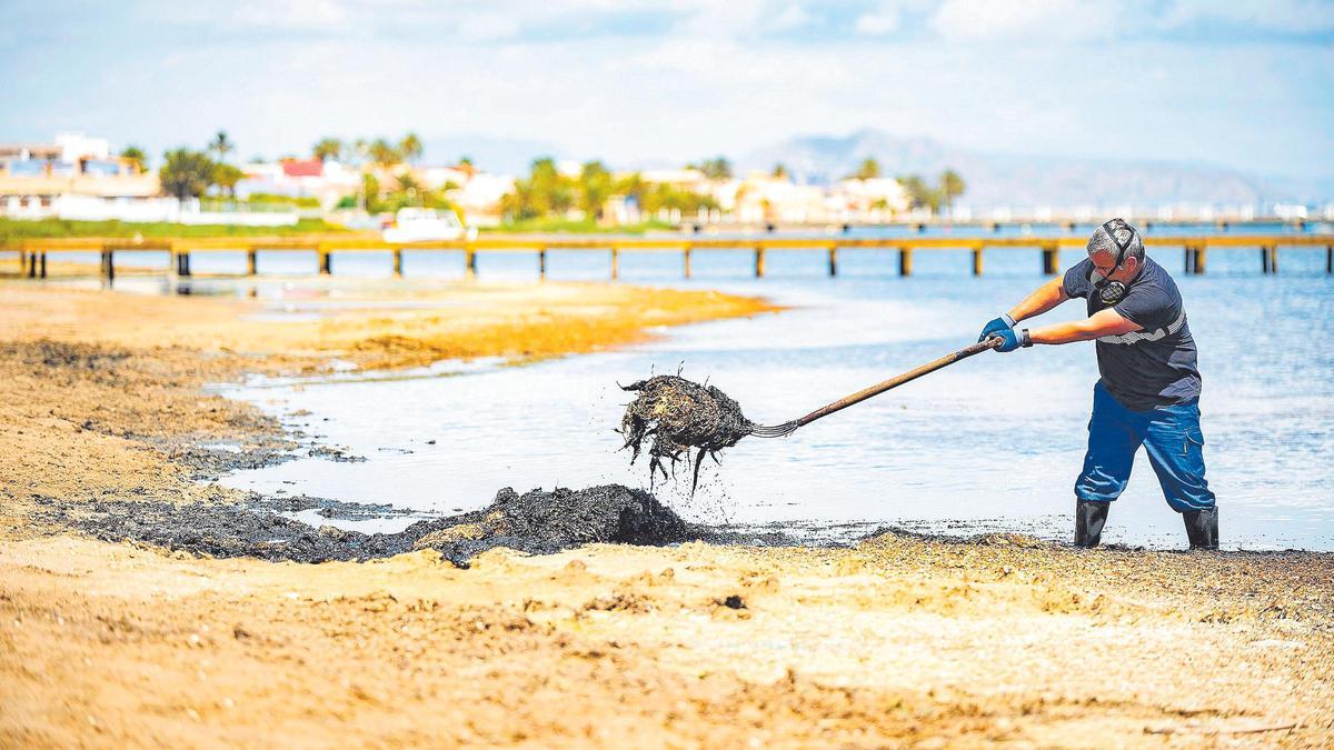 Un operario limpiaba ayer la playa de Estrella de Mar, en Cartagena.