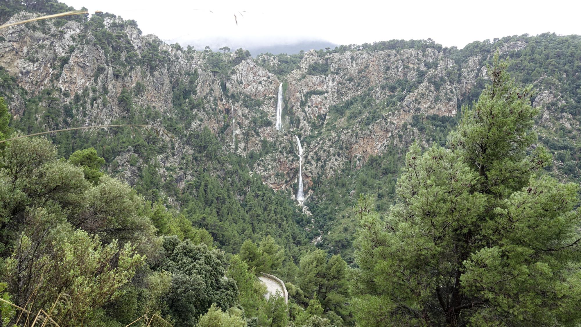 Las lluvias activan el impresionante salto de agua del Torrent des Lli