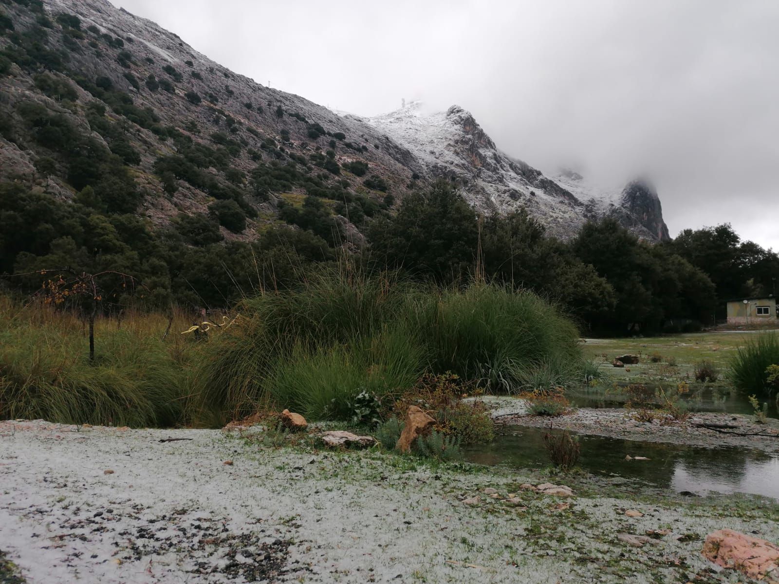 La cima del Puig Major amanece con cuatro centímetros de nieve