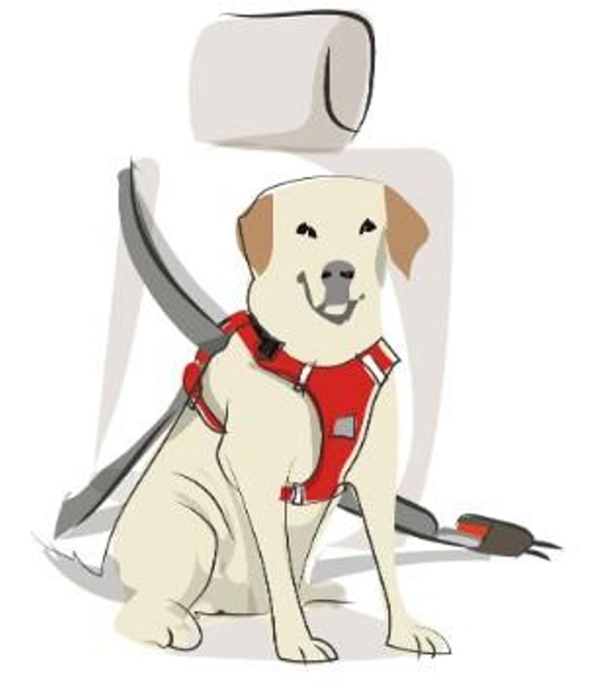 La DGT lo advierte: no uses esto si quieres proteger a tu mascota en el vehículo