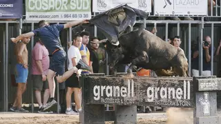 El navarro Pedro Domínguez pincha en su estreno en el concurso de ganaderías de la Vall