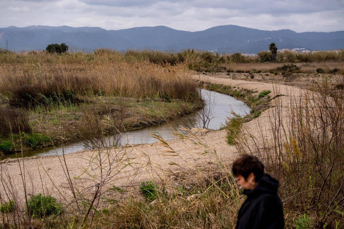 Espacios naturalizados por Aena junto al aeropuerto del Prat, en el sector de Can Sabadell, en Viladecans.