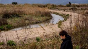 Espacios naturalizados por Aena en el aeropuerto del Prat, 3 de marzo de 2026