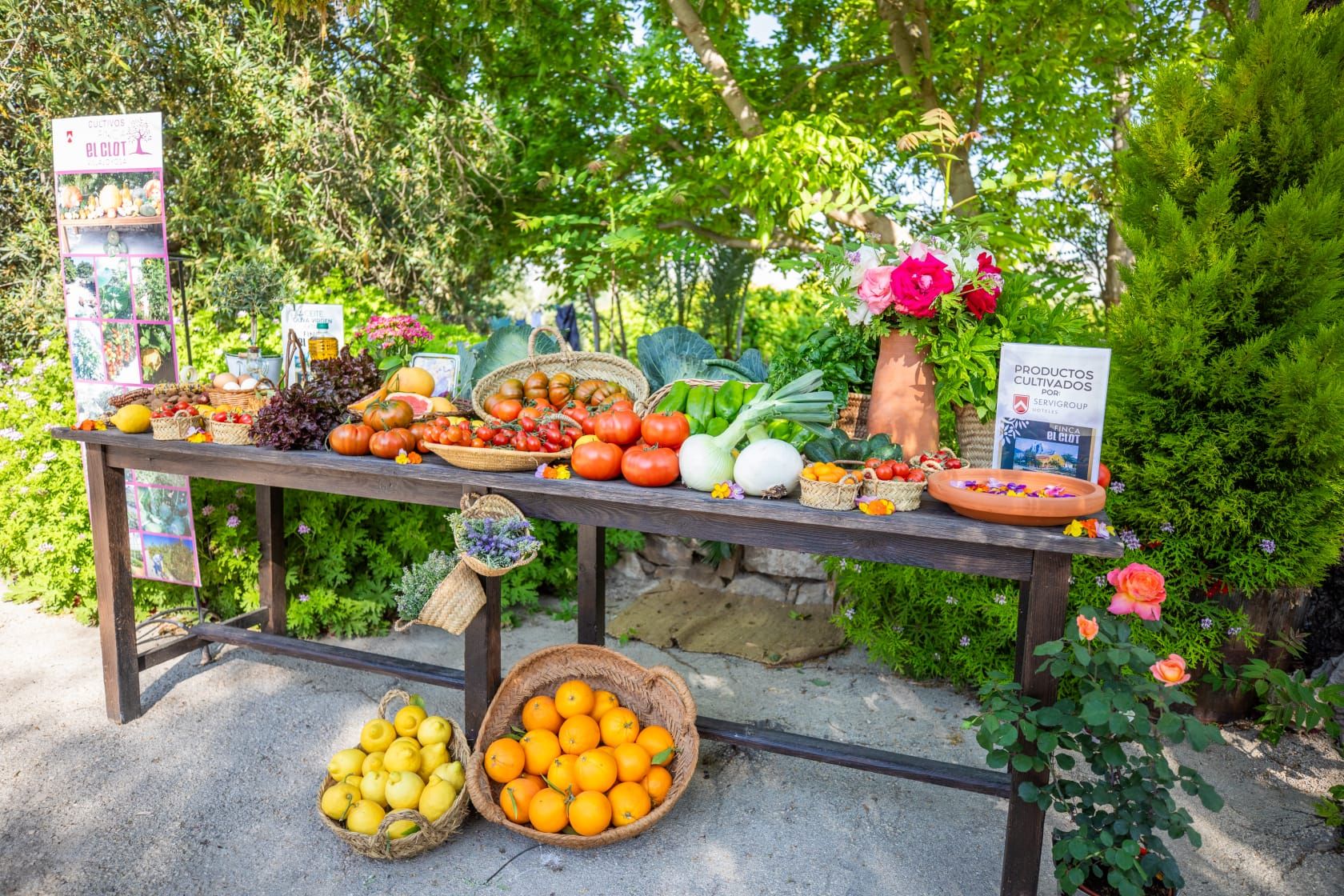 Farm to Fork: Estudiantes de España y Eslovenia visitan la finca agrícola de Hoteles Servigroup en Villajoyosa