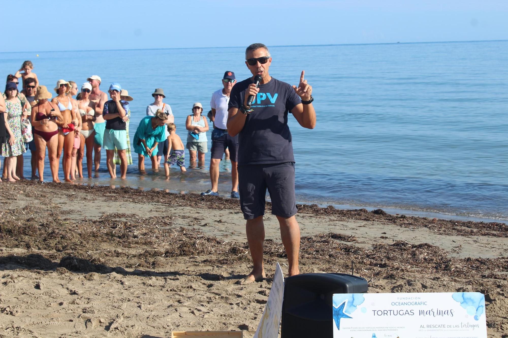 Una gran fiesta que conciencia: las tortugas vuelven al mar en Dénia