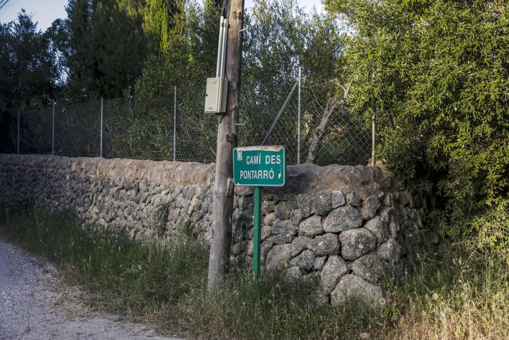 Hallan los cadáveres de dos ancianos con mordeduras de perros en Llucmajor