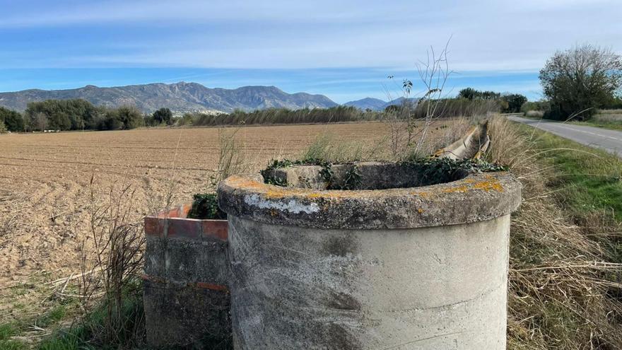 «Estic reemplaçant camps de cirerers per oliveres, que són més resistents a la sequera»