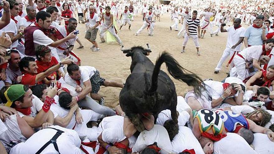 Entrada de uno de los toros de Cebada Gago en la plaza.