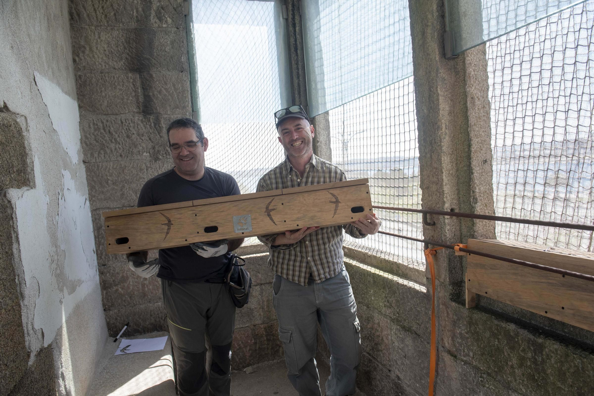 Nuevos hogares para los vencejos en el jardín de San Carlos