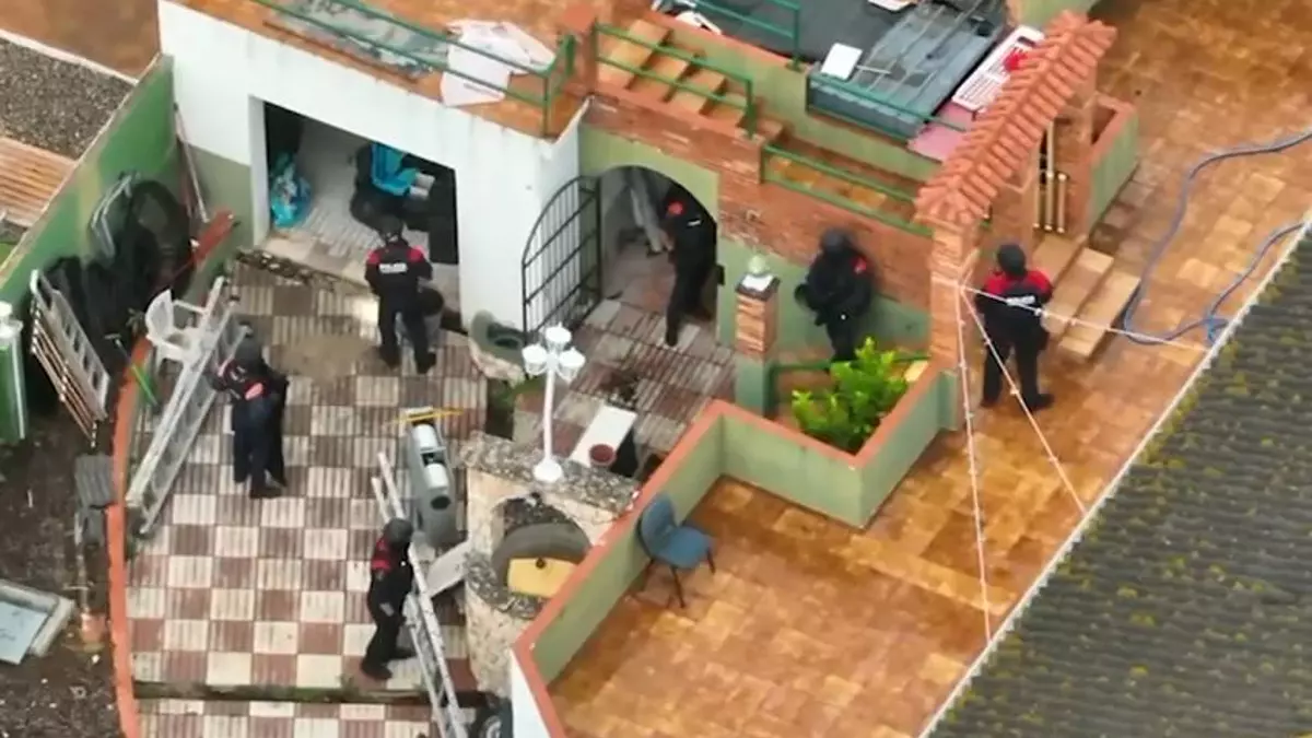 Desarticulada una organización criminal dedicada al cultivo masivo de marihuana con 20 detenidos en Catalunya