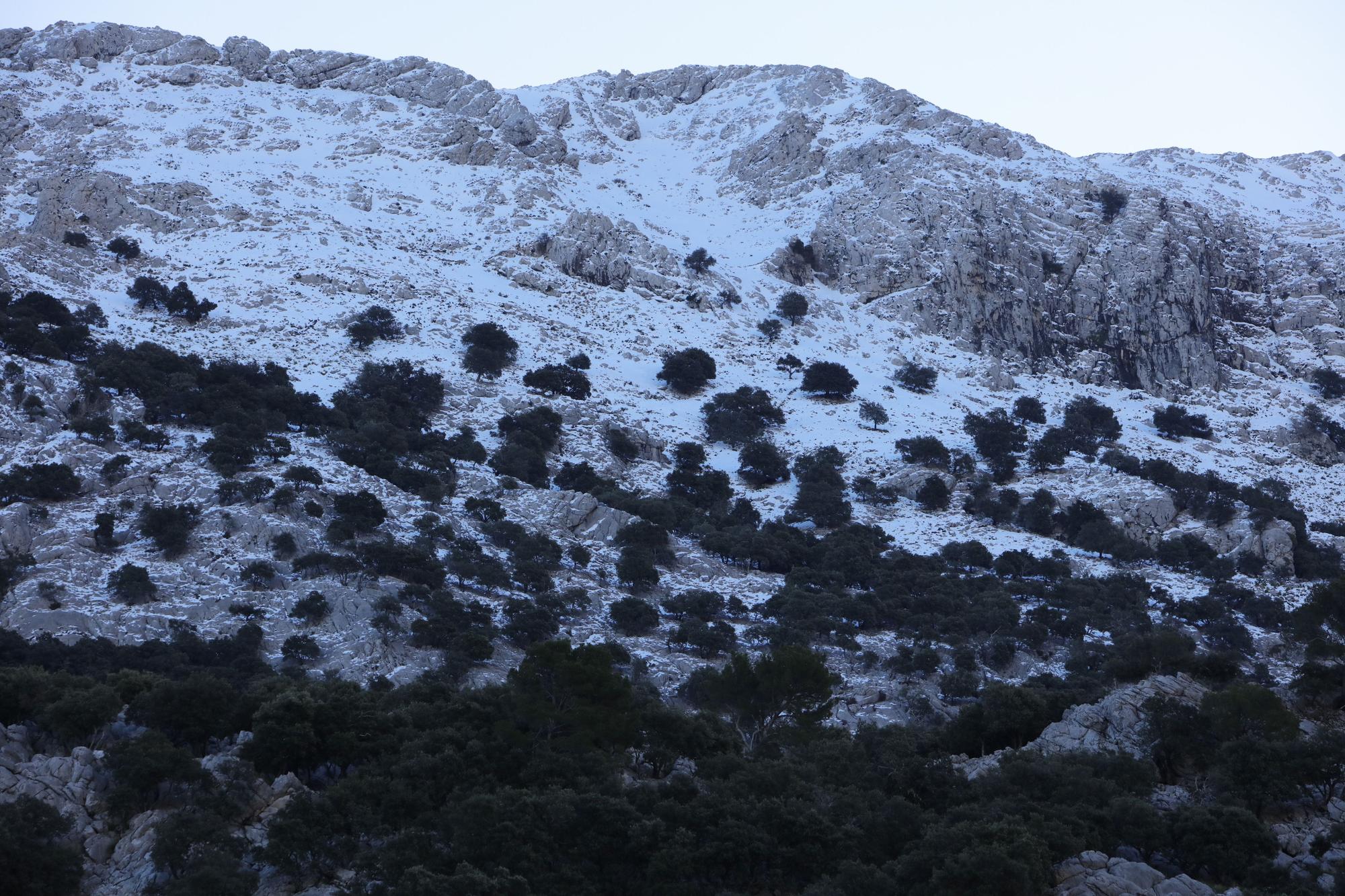 Winter auf Mallorca - die traumhafte Landschaft am Stausee Gorg Blau