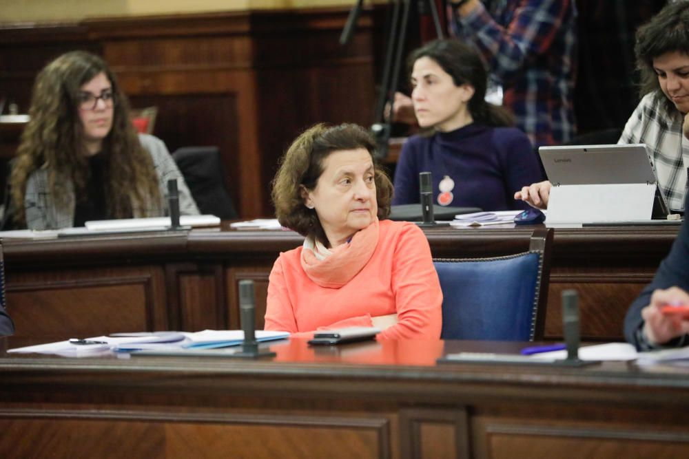 Pleno del Parlament del día 11 de febrero de 2019