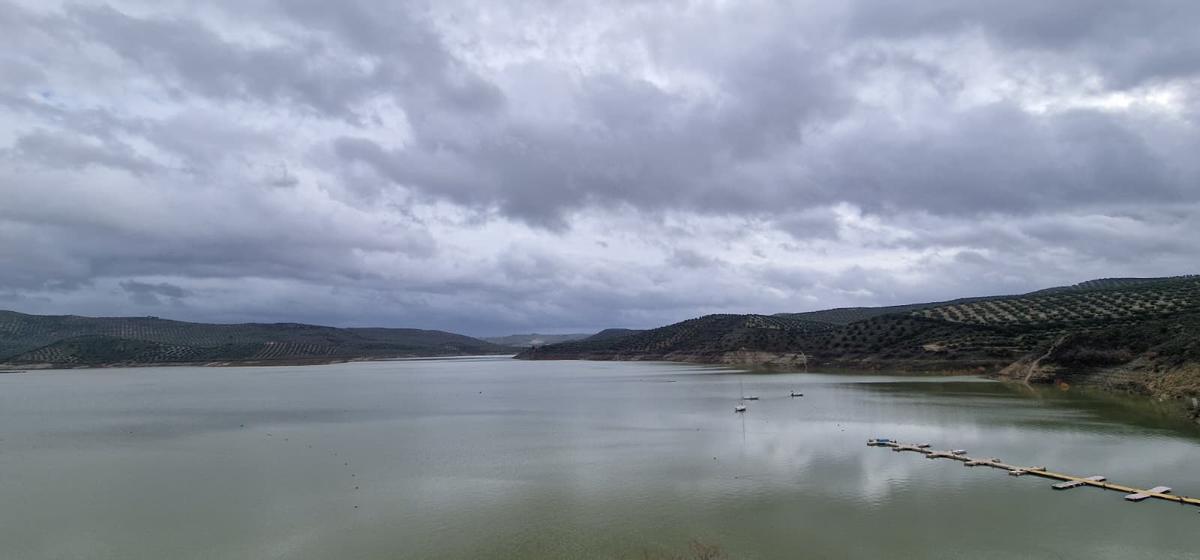 Los olivares cordobeses tras la borrasca Kristin