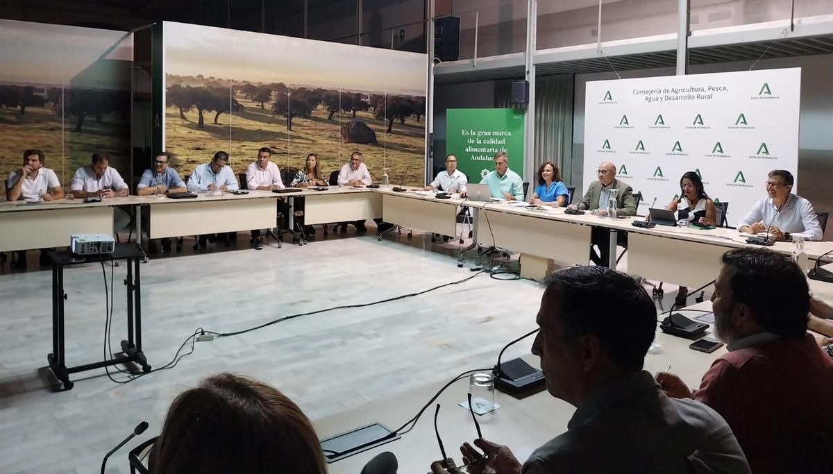 Reunión para informar sobre el aforo de producción de algodón en Andalucía.