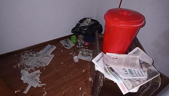 El piso de la discordia en el que viven más de diez mascotas y que ha obligado a una madre viguesa a huir por motivos de salud