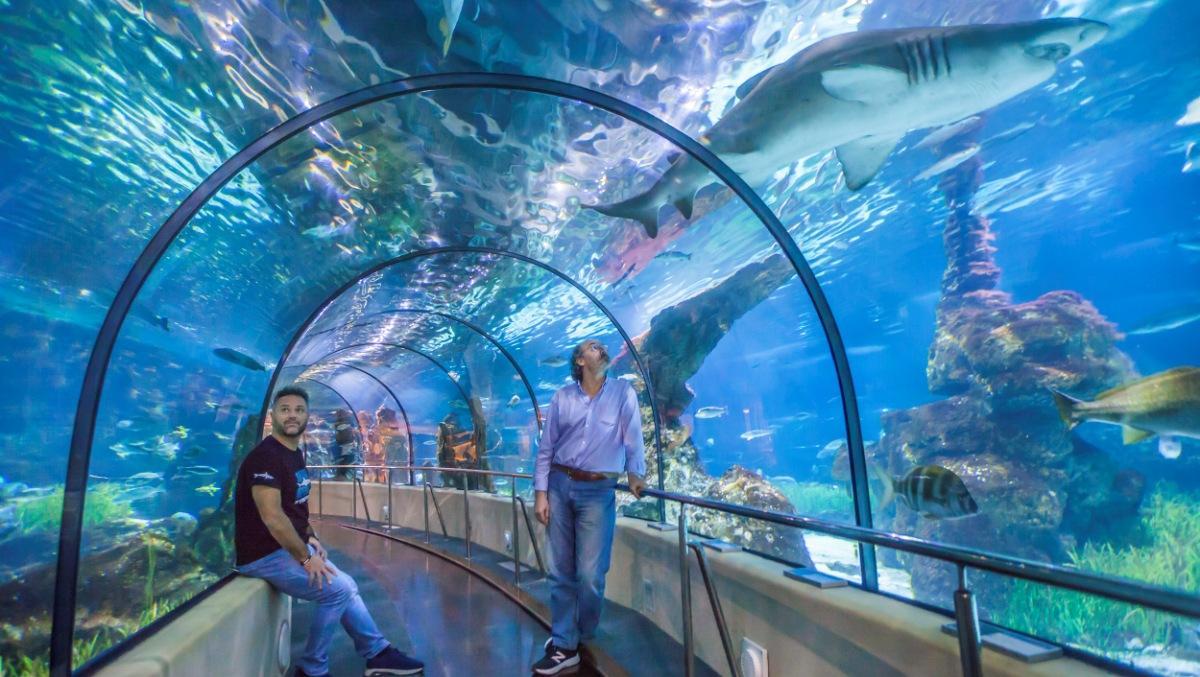 «No em van deixar entrar a l’aquari de Barcelona perquè soc balança amb ascendent peixos»