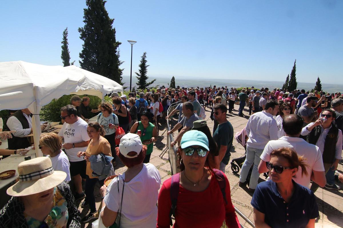 Vuelven las habas a las Ermitas de Córdoba