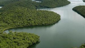 Reserva ambiental en Minas Gerais (Brasil). 