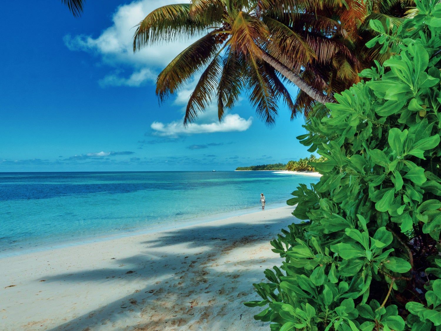 Playa Madame Zabre en Desroches, Seychelles