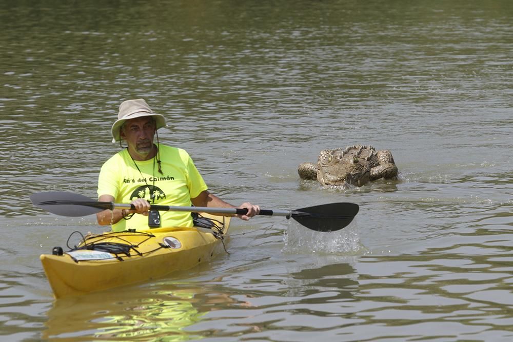 Fotogalería / Ruta del Caimán por el río Guadalquivir.