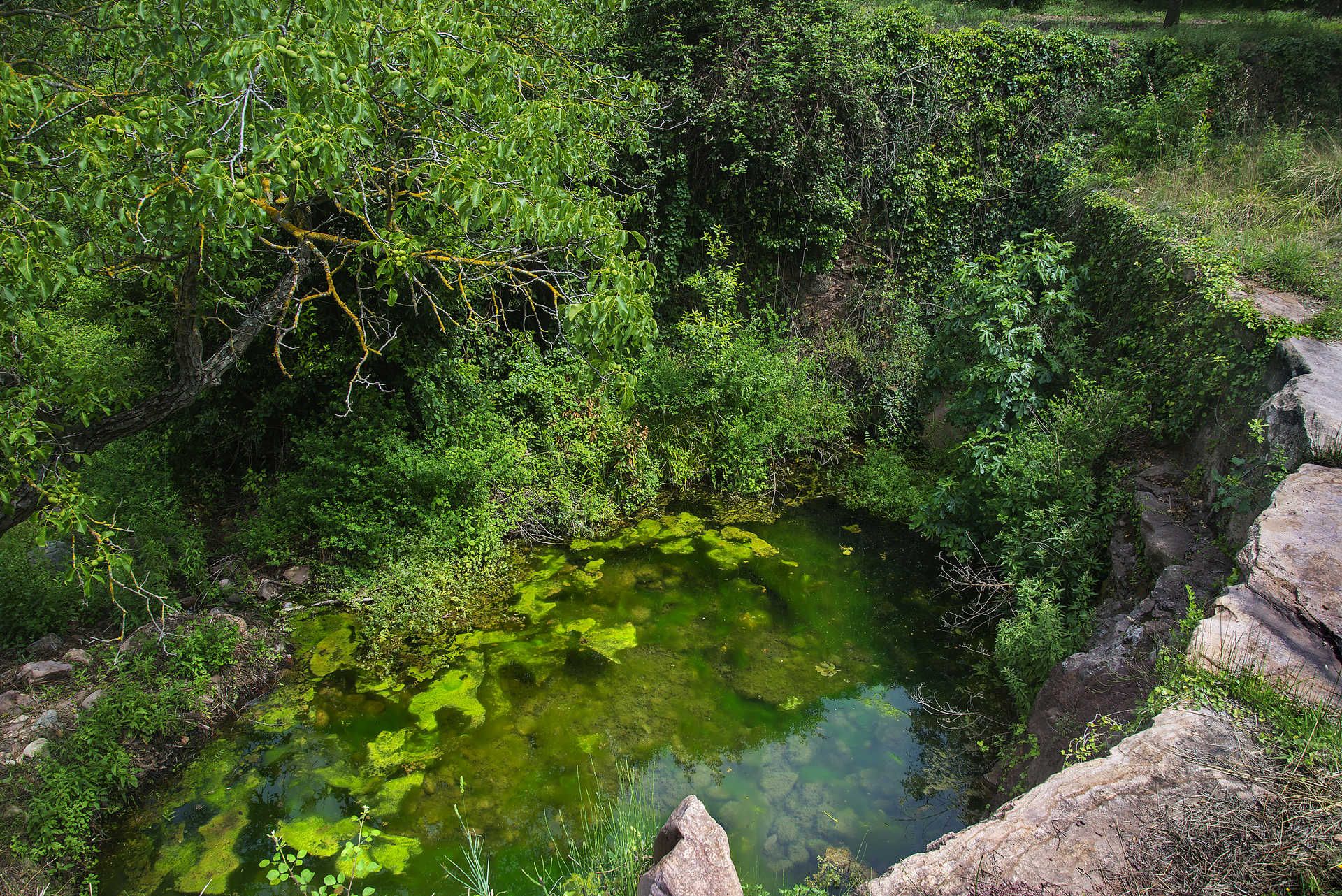 Parque natural de la Sierra de Espadán