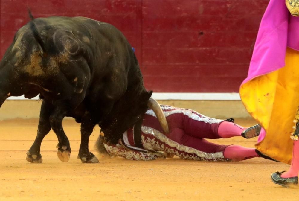 El banderillero Mariano de la Viña sufre una grave cornada en Zaragoza.