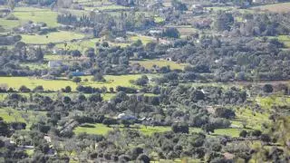 Furor inmobiliario en el campo de Mallorca: La venta de fincas batirá su récord este 2022