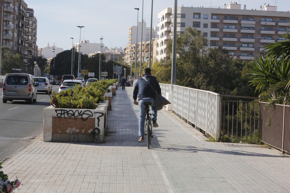 Así está el nuevo carril bici de Elche