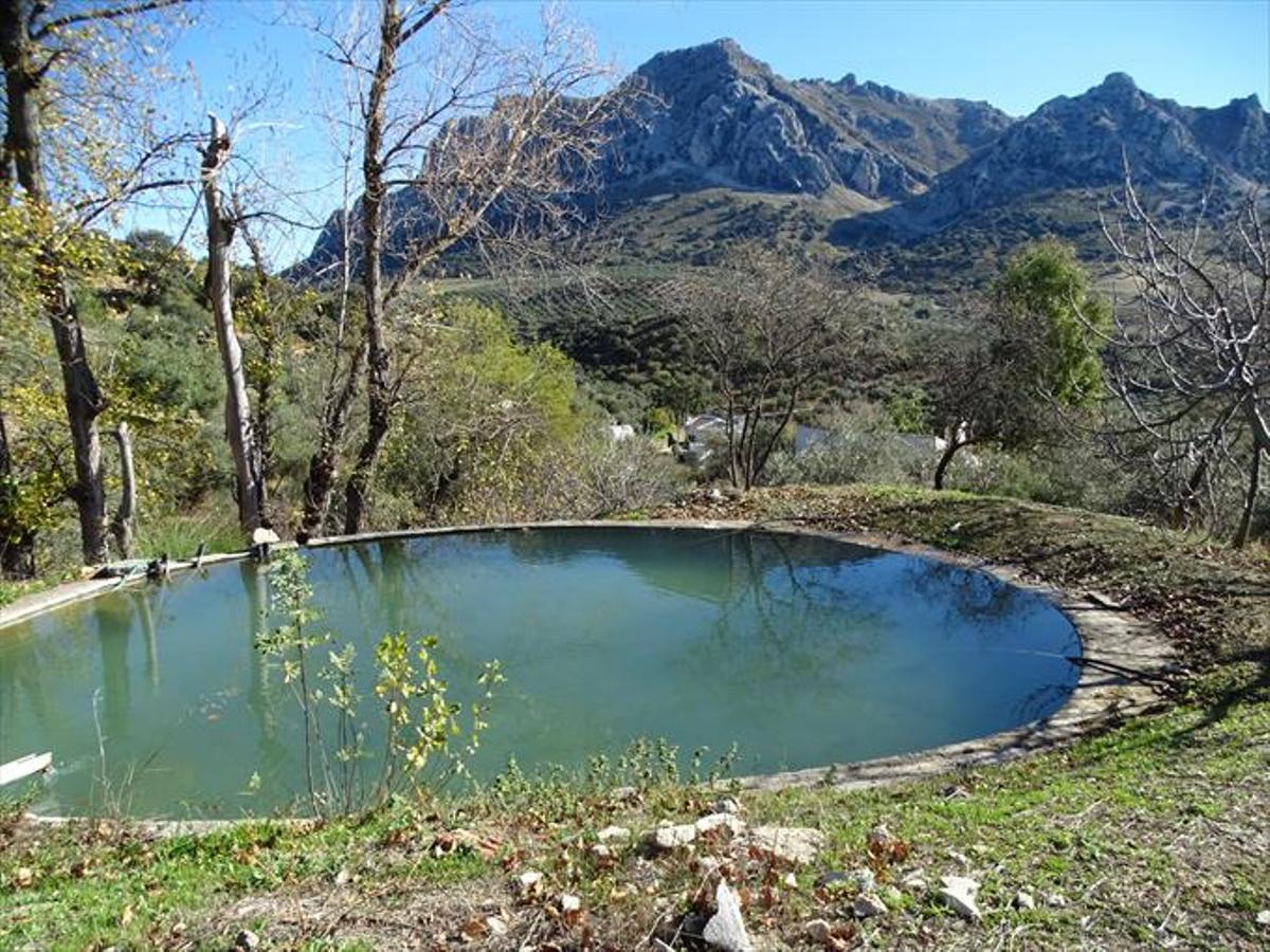 Surgencias de la gallinera