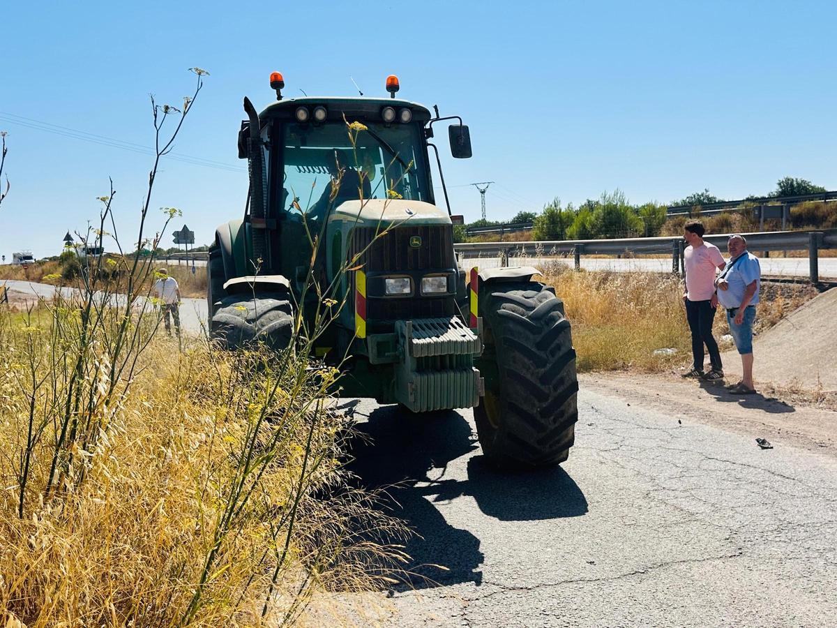 Un tractor reduce la maleza en un camino de Lorca.