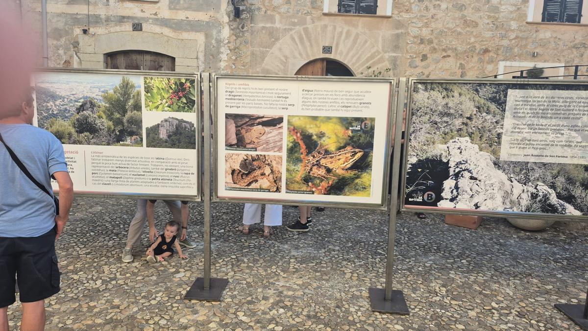 Las imágenes del 'correfoc' de 'Els tretze de na Pola' de Alaró