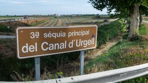 El Canal dUrgell, sin agua, a su paso por Vilanova de Bellpuig, en el Pla dUrgell.