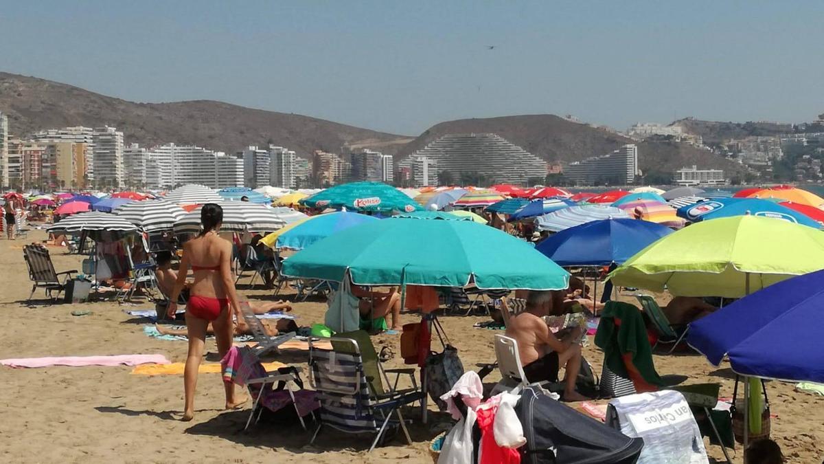 El sector augura unas cifras de ocupación de récord en Cullera el próximo verano.