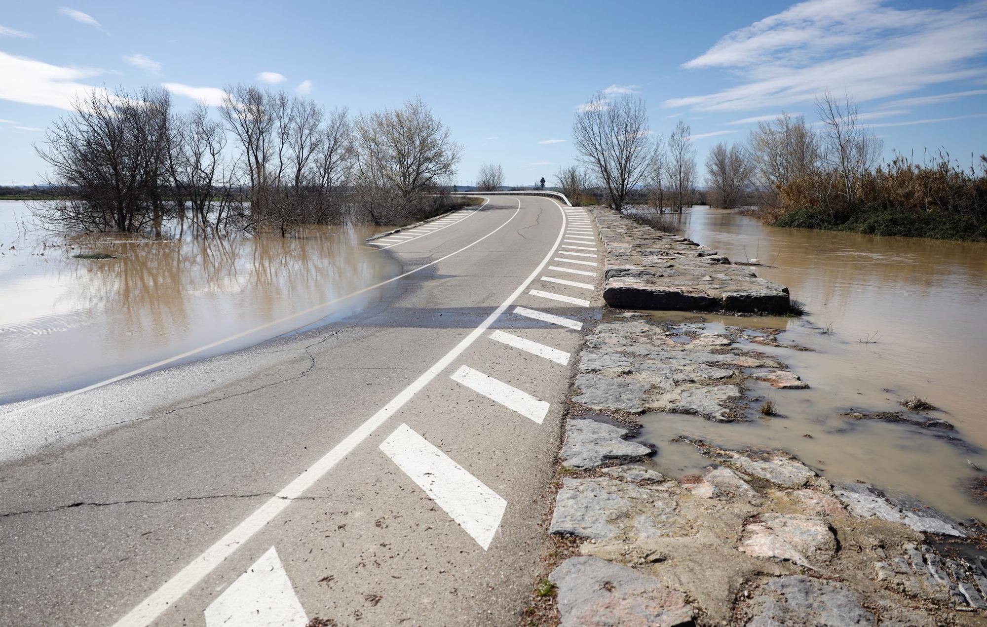 En imágenes | Así transcurre la crecida del Ebro a su paso por Aragón