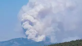 Incendios forestales, en directo: La superficie quemada en España se duplica en dos semanas y roza ya las 120.000 hectáreas este año